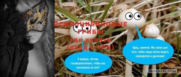 соль ск Алзамай