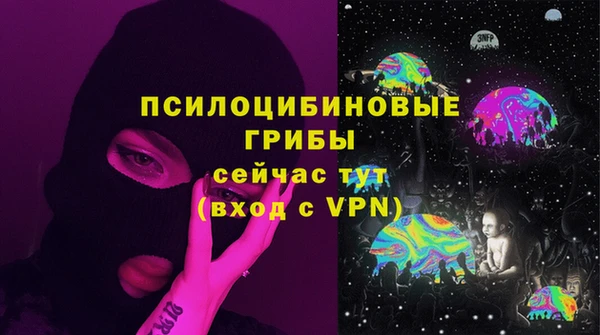 тгк Алексин