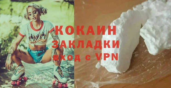 соль ск Алзамай